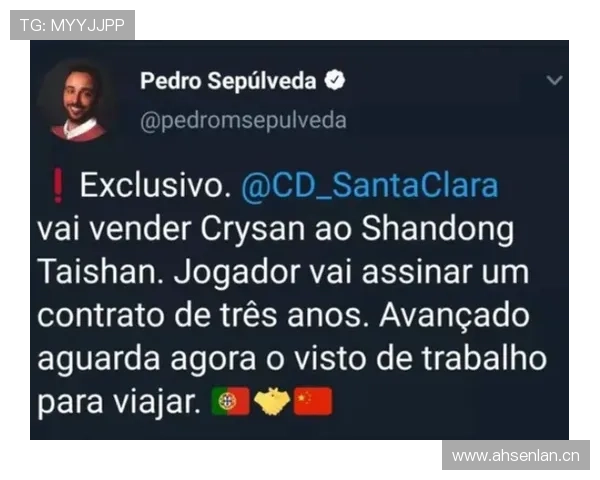 葡超转会动态：多队引援动作频频，本土新星成争夺焦点